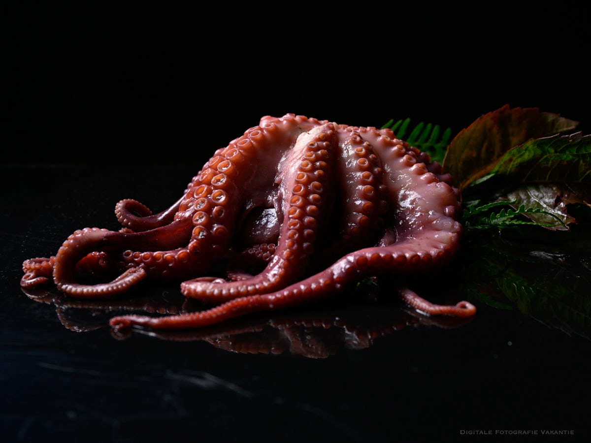 Wim octopussy.jpg